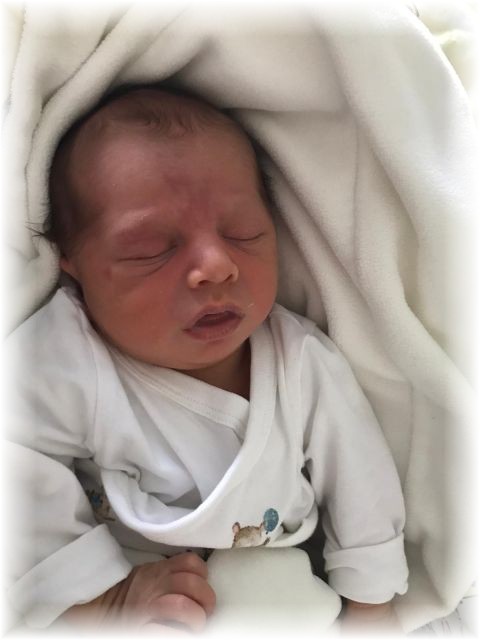 006_2020.jpg - 65250 Bytes