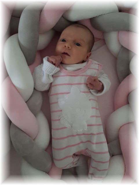 007_2020.jpg - 65250 Bytes