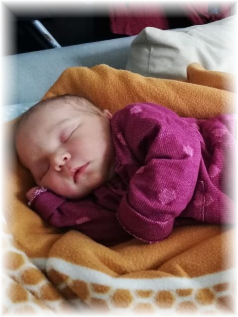 009_2020.jpg - 65250 Bytes