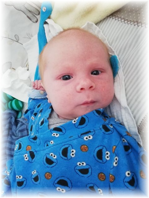 010_2020.jpg - 65250 Bytes