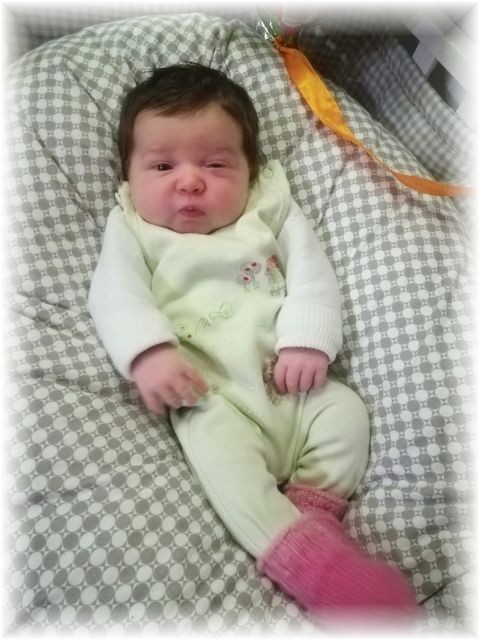 013_2020.jpg - 65250 Bytes