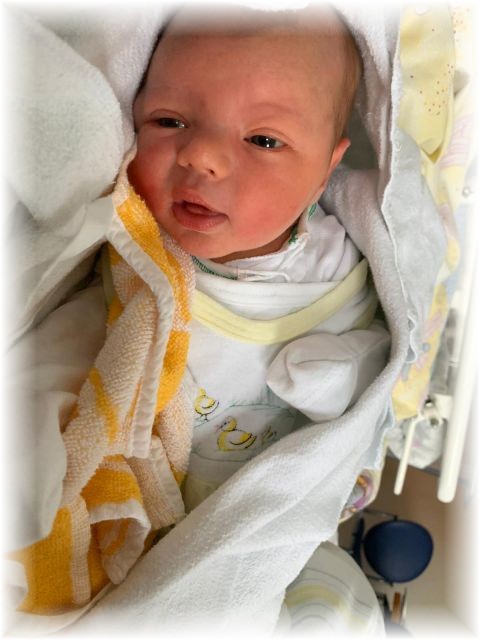 016_2020.jpg - 65250 Bytes