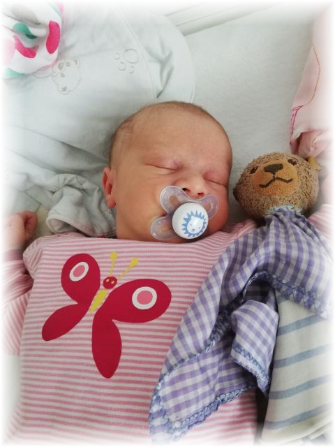 018_2020.jpg - 65250 Bytes