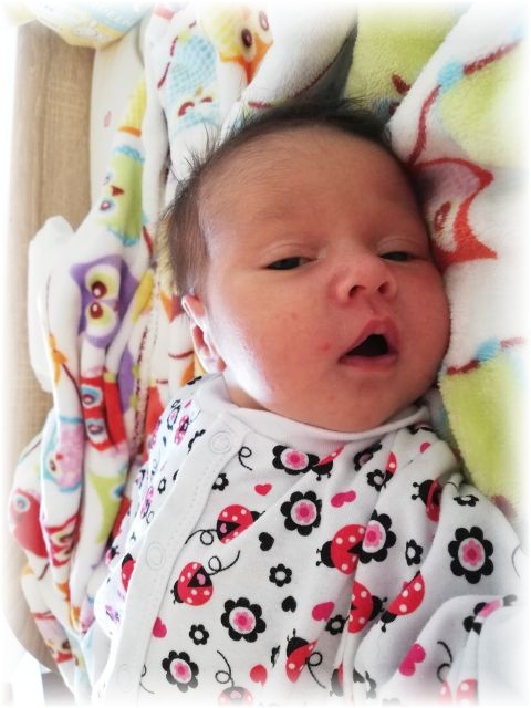 020_2020.jpg - 65250 Bytes