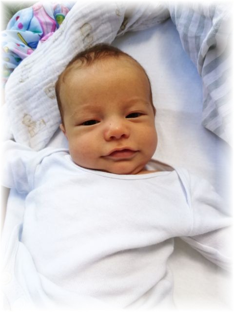 021_2020.jpg - 65250 Bytes