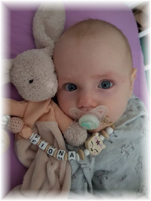 022_2020.jpg - 65250 Bytes