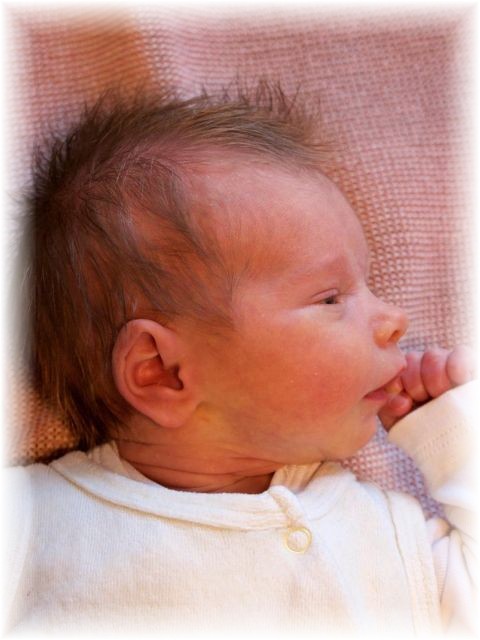 023_2020.jpg - 65250 Bytes