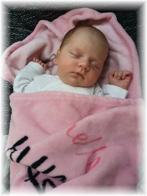 024_2020.jpg - 65250 Bytes