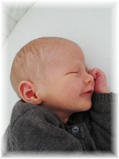 025_2020.jpg - 65250 Bytes