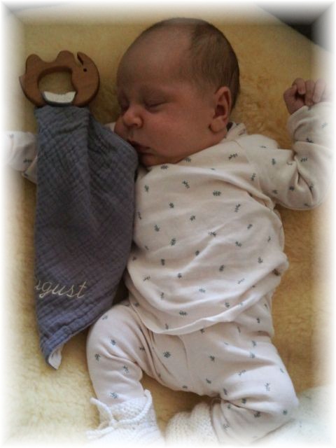 026_2020.jpg - 53571 Bytes