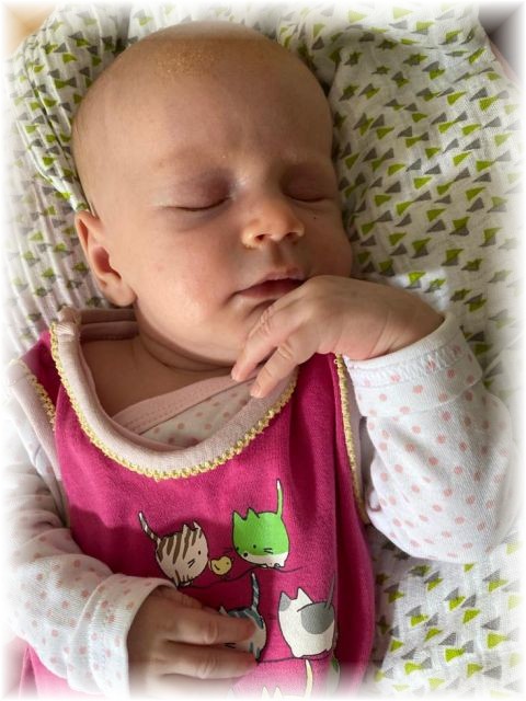 030_2020.jpg - 71661 Bytes