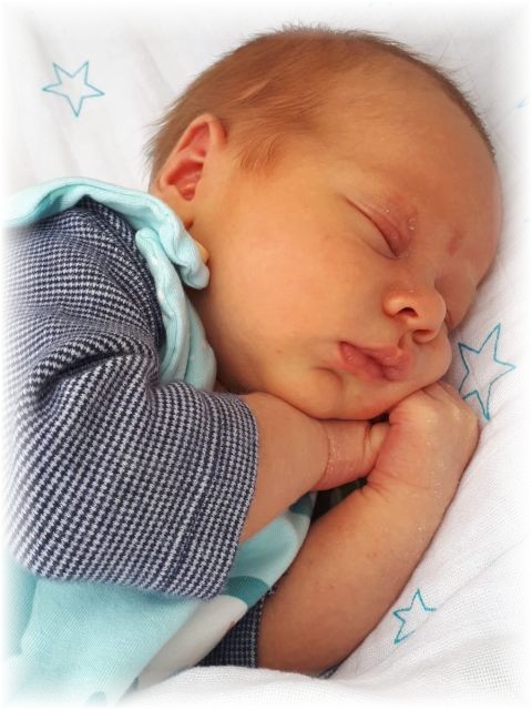 034b_2020.jpg - 71661 Bytes