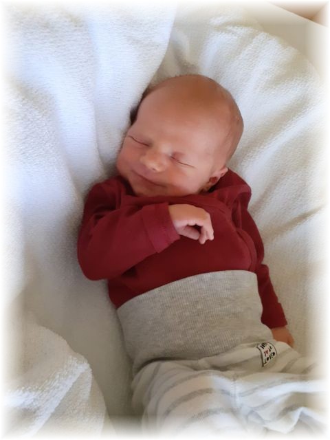 035_2020.jpg - 71661 Bytes