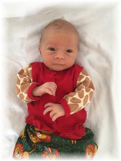 037_2020.jpg - 71661 Bytes