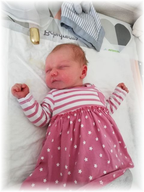 038_2020.jpg - 71661 Bytes