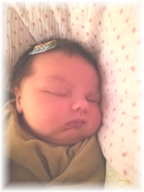 039_2020.jpg - 71661 Bytes