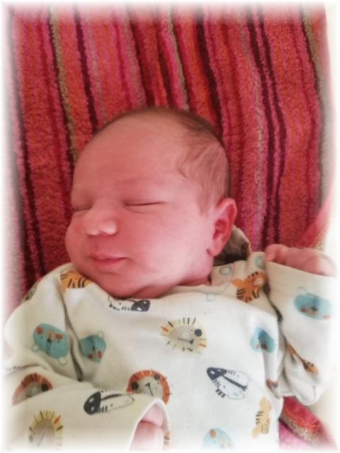 040_2020.jpg - 71661 Bytes