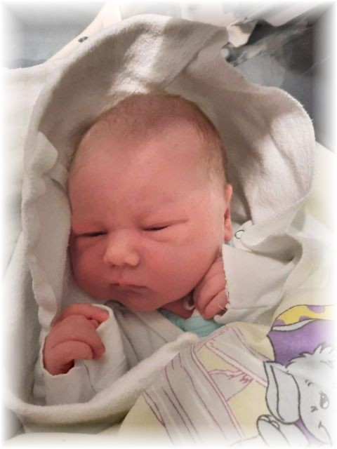 043_2020.jpg - 71661 Bytes