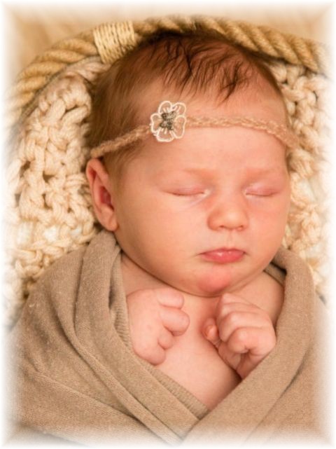 052_2020.jpg - 71661 Bytes