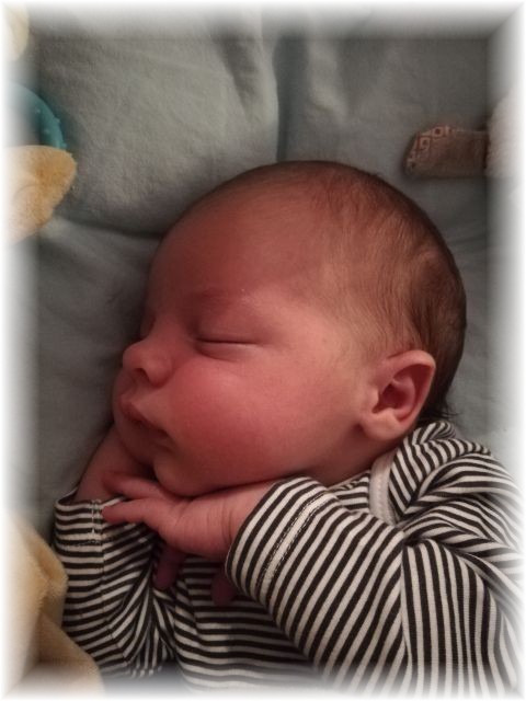 053_2020.jpg - 71661 Bytes