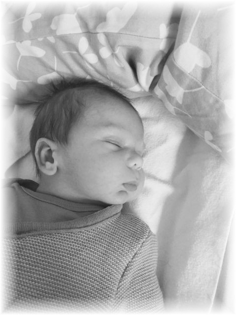 004_2021.jpg - 65250 Bytes