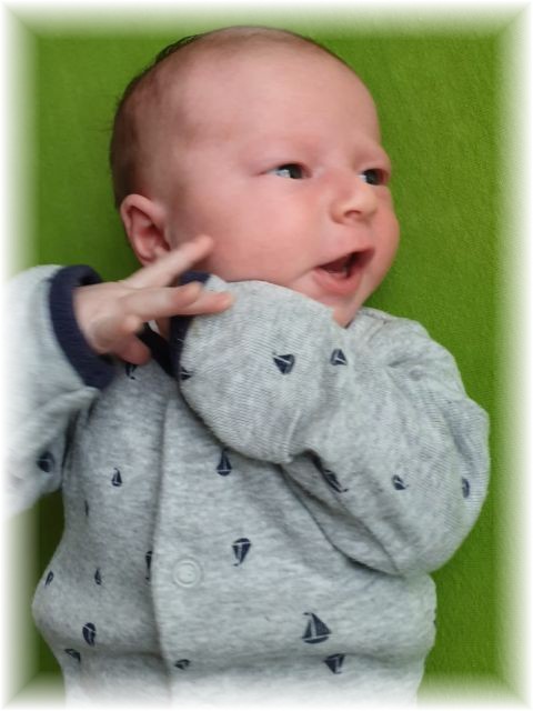 005_2021.jpg - 65250 Bytes