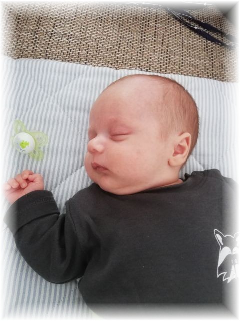 007_2021.jpg - 65250 Bytes