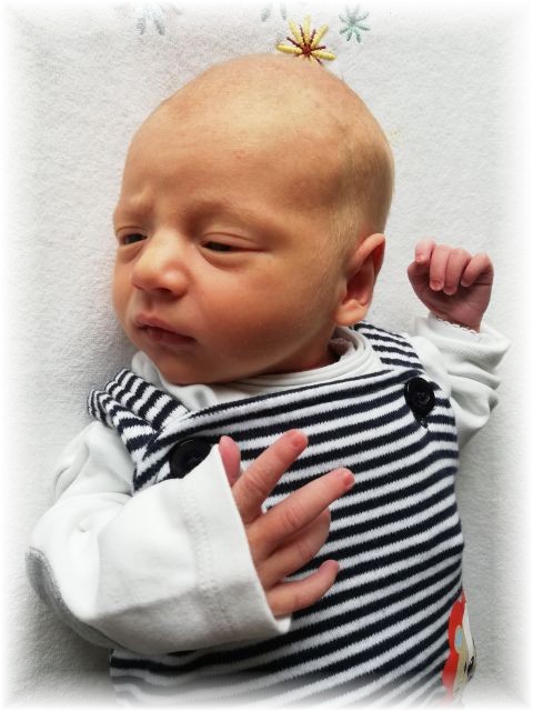 012_2021.jpg - 65250 Bytes