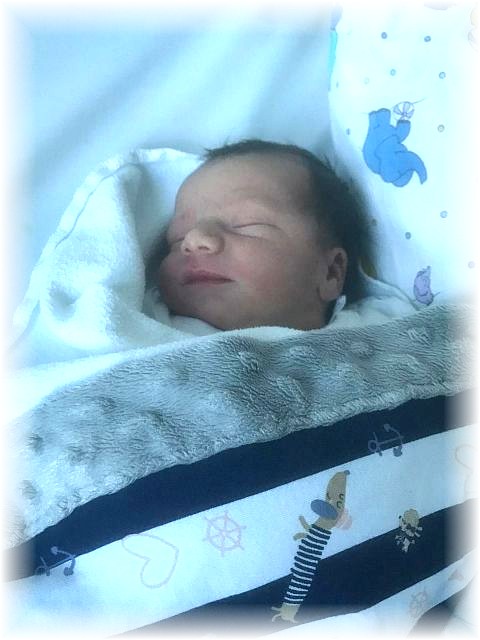 017_2021.jpg - 65250 Bytes