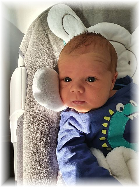 018_2021.jpg - 65250 Bytes