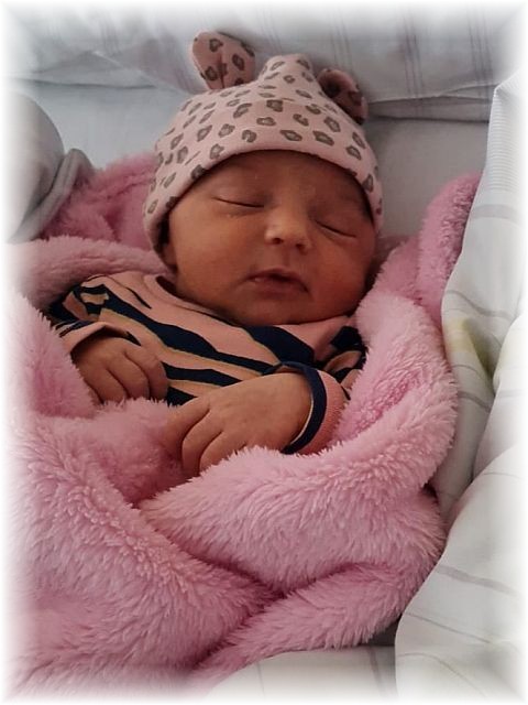 020_2021.jpg - 65250 Bytes