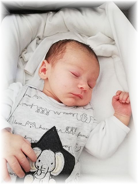 022_2021.jpg - 65250 Bytes