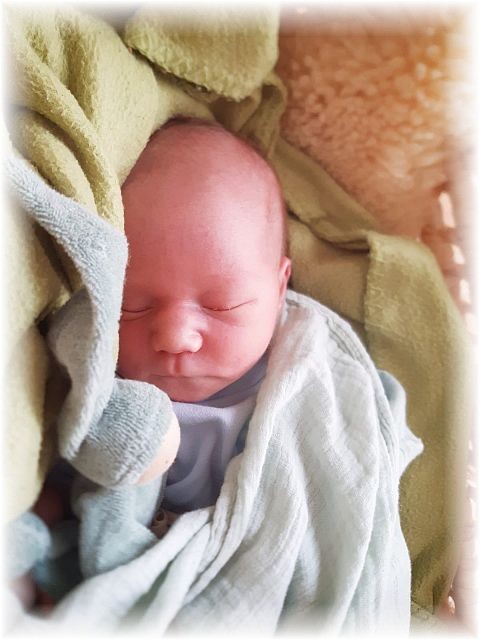 025_2021.jpg - 65250 Bytes