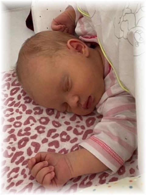 029_2021.jpg - 65250 Bytes