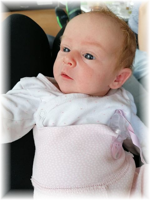 032_2021.jpg - 65250 Bytes