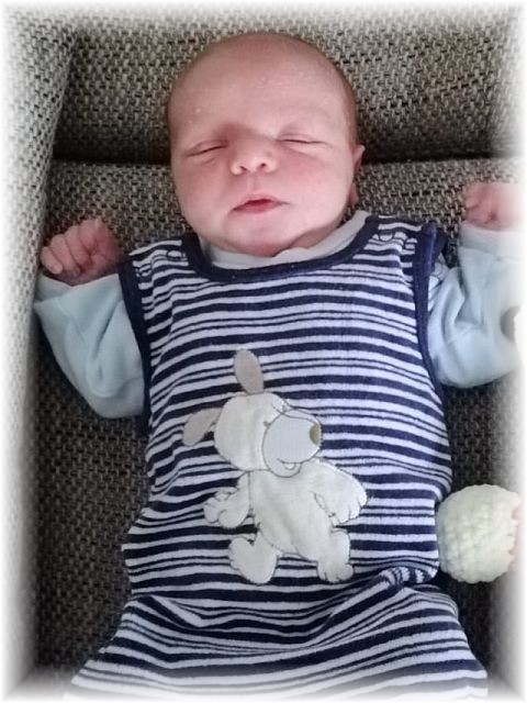 033_2021.jpg - 65250 Bytes