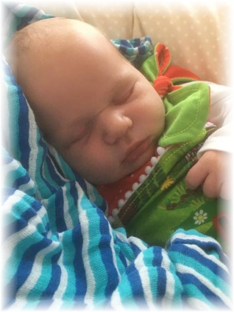 035_2021.jpg - 65250 Bytes