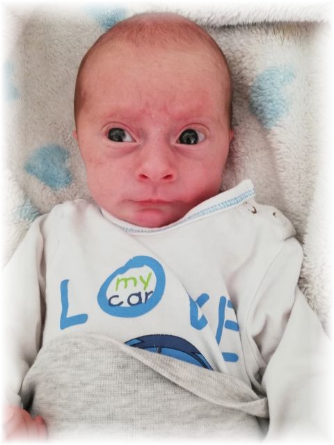 039_2021.jpg - 65250 Bytes