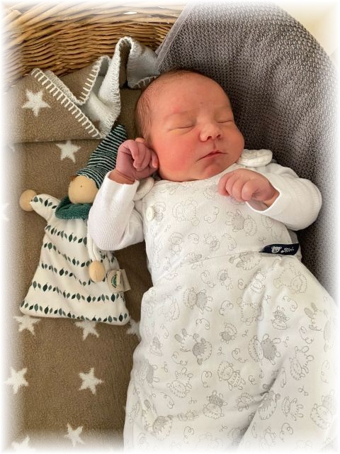 043_2021.jpg - 65250 Bytes