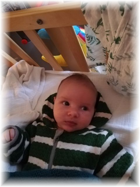 046_2021.jpg - 65250 Bytes