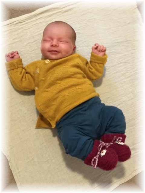 052_2021.jpg - 65250 Bytes