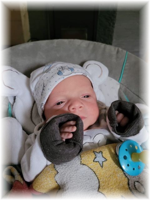 055_2021.jpg - 65250 Bytes