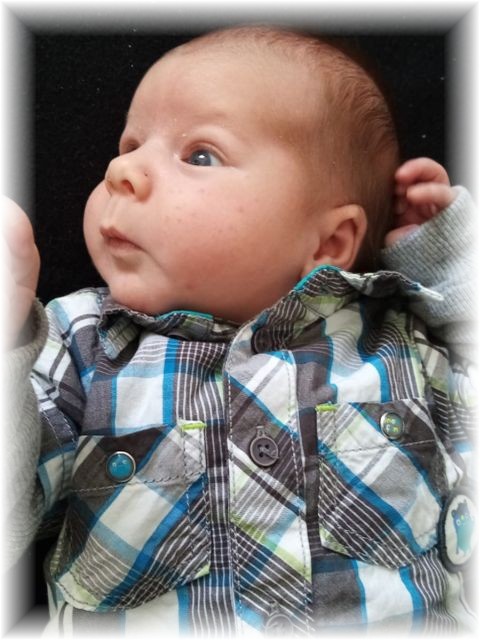 10_2022.jpg - 75377 Bytes