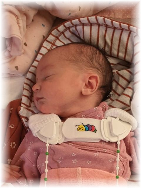 12_2022.jpg - 75377 Bytes