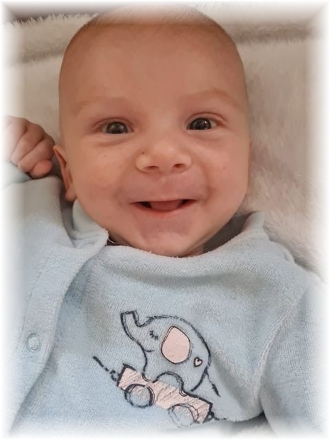 16_2022.jpg - 66102 Bytes