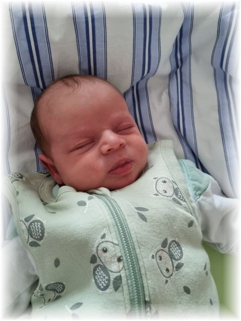 17_2022.jpg - 66102 Bytes