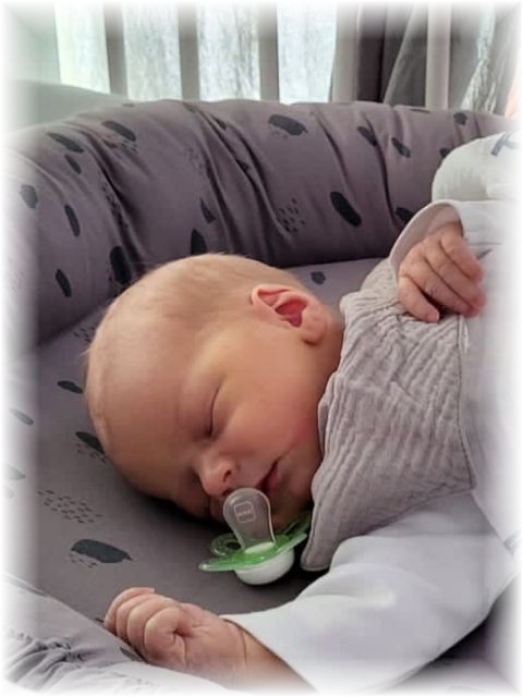 23_2022.jpg - 66102 Bytes