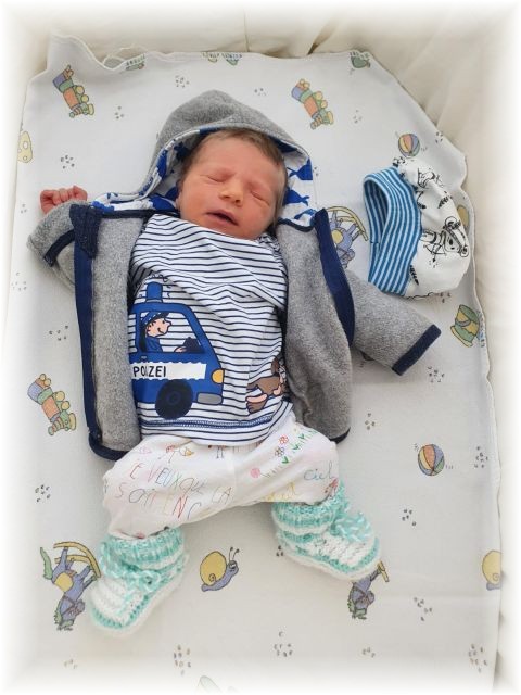 27_2022.jpg - 66102 Bytes