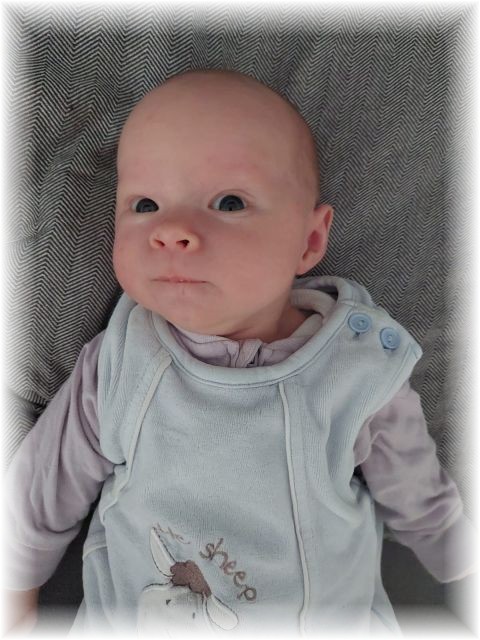 28_2022.jpg - 66102 Bytes