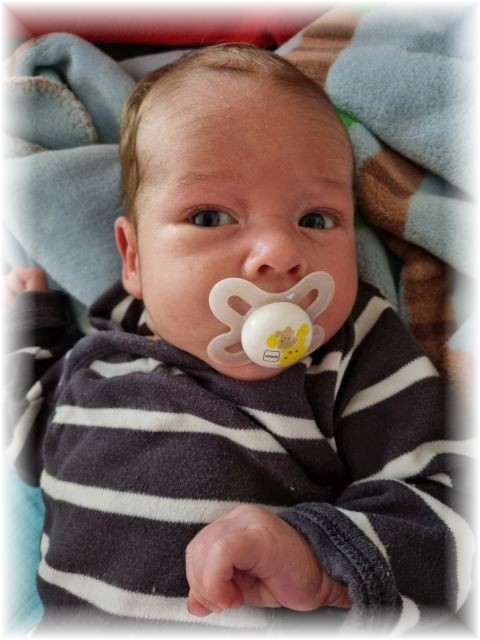 34_2022.jpg - 66102 Bytes